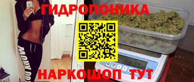дмт Тула