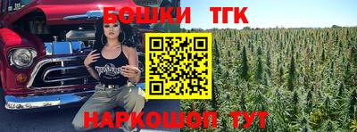 дмт Тула