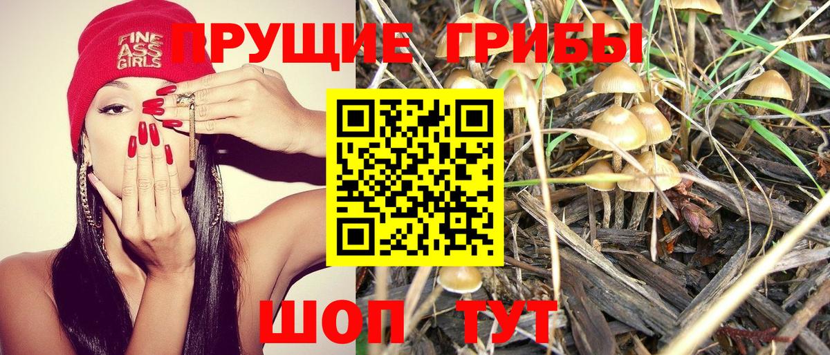 Псилоцибиновые грибы мухоморы Нарткала